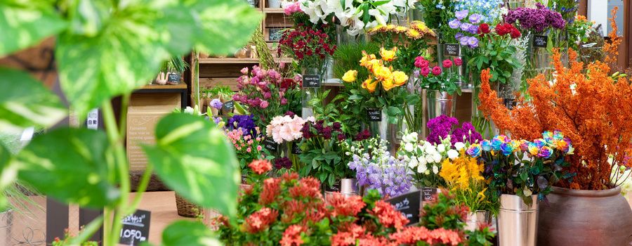 【花屋さん必見】冬はどんな切り花を仕入れる？需要に合わせた選定のコツ