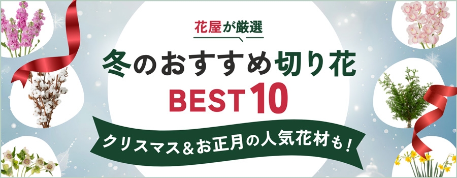 冬のおすすめ切り花BEST10