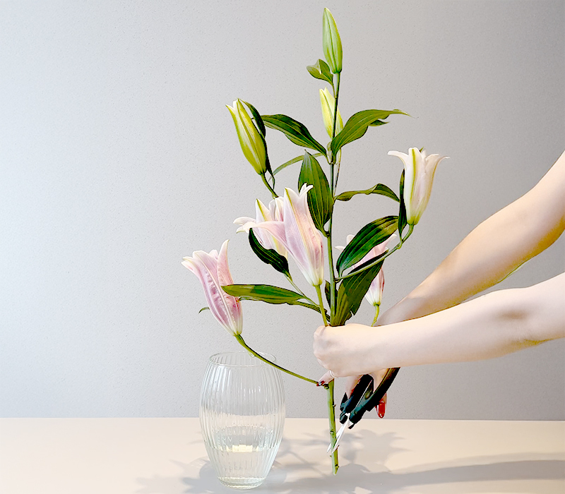 花瓶と花が1:1になるように茎をカットする
