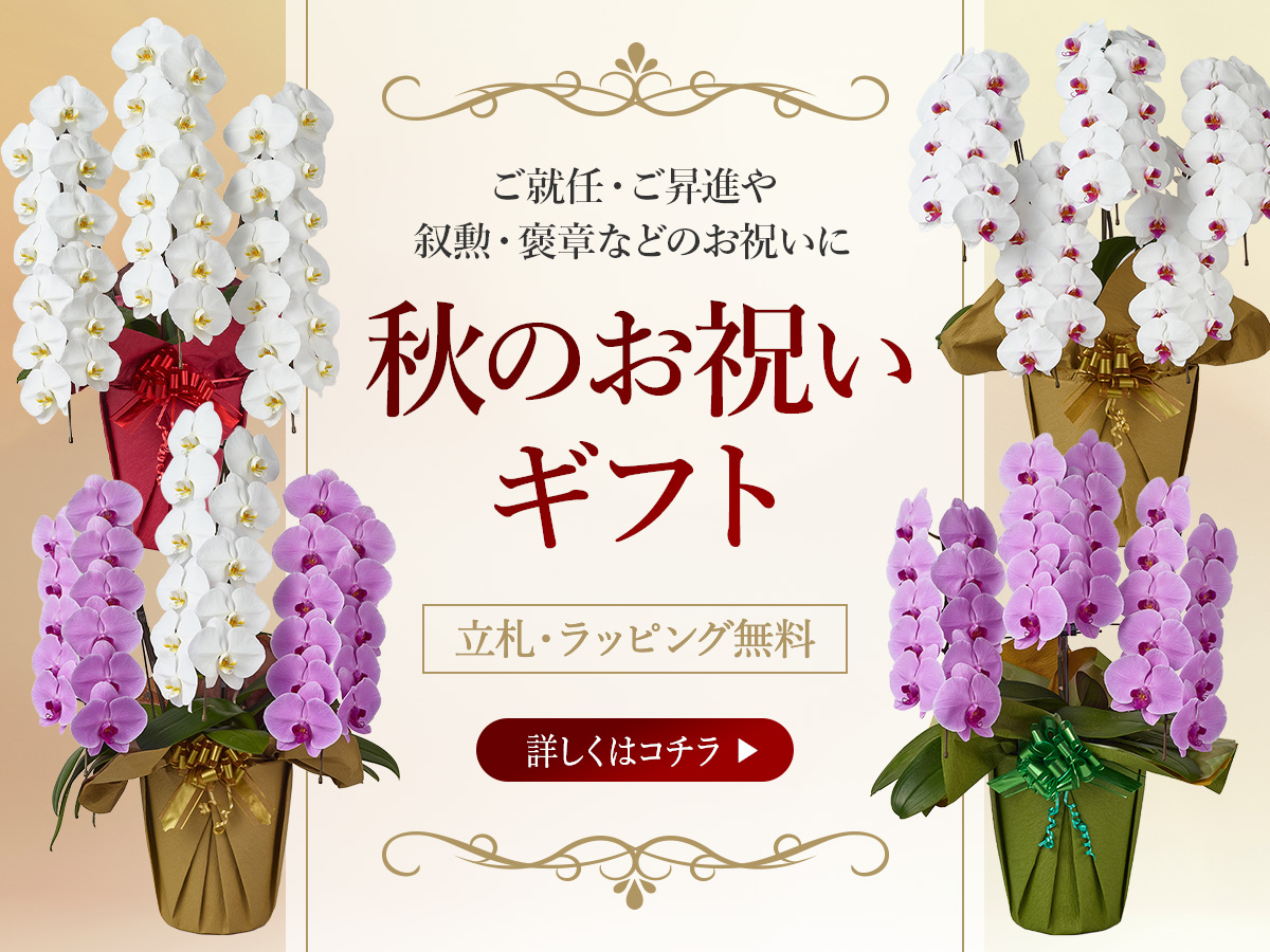 秋のお祝いギフト特集