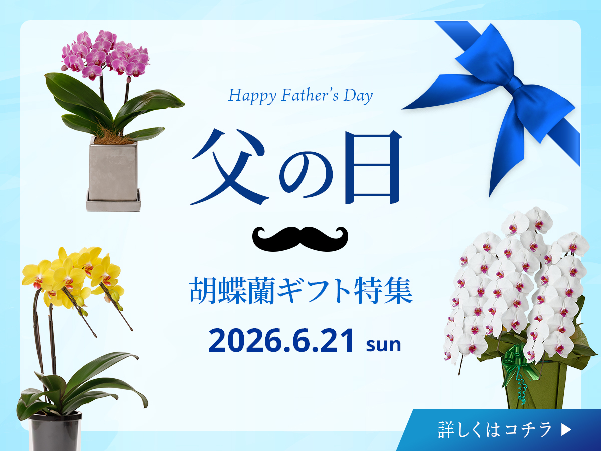 父の日特集