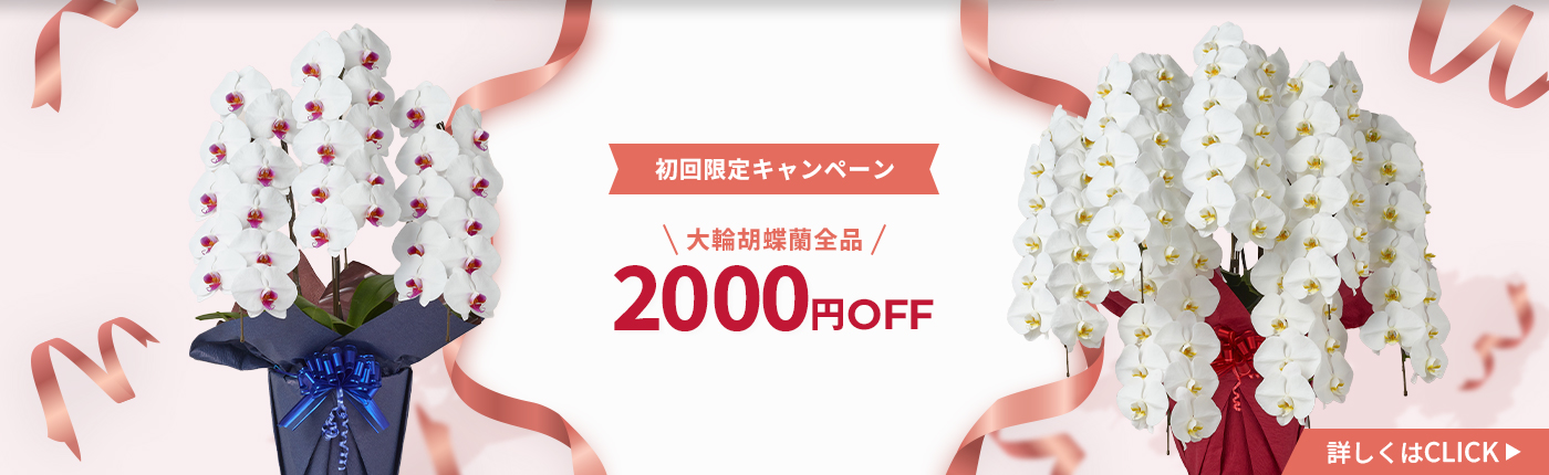 初回3000円オフ