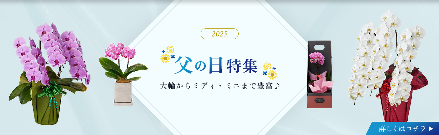 父の日特集