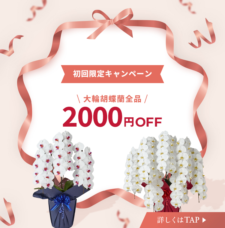 初回3000円オフ