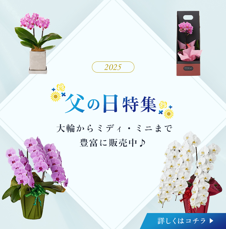 父の日特集