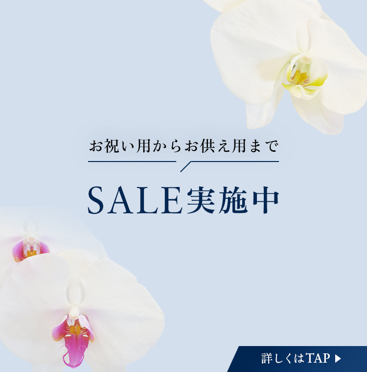 SALE実施中