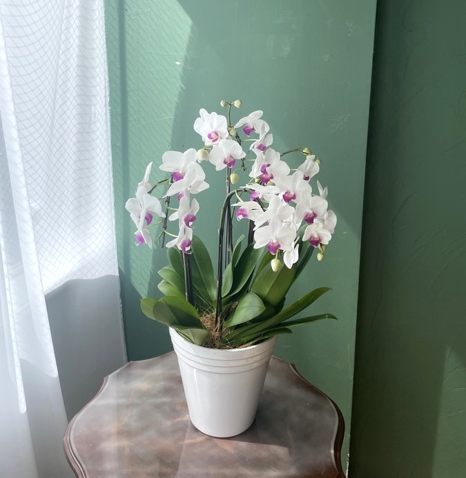 深めの水につける