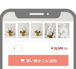 商品をご注文！自動的に3000円OFF適用