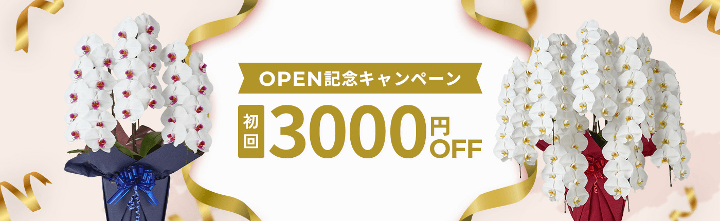 OPEN記念キャンペーン 初回3000円OFF