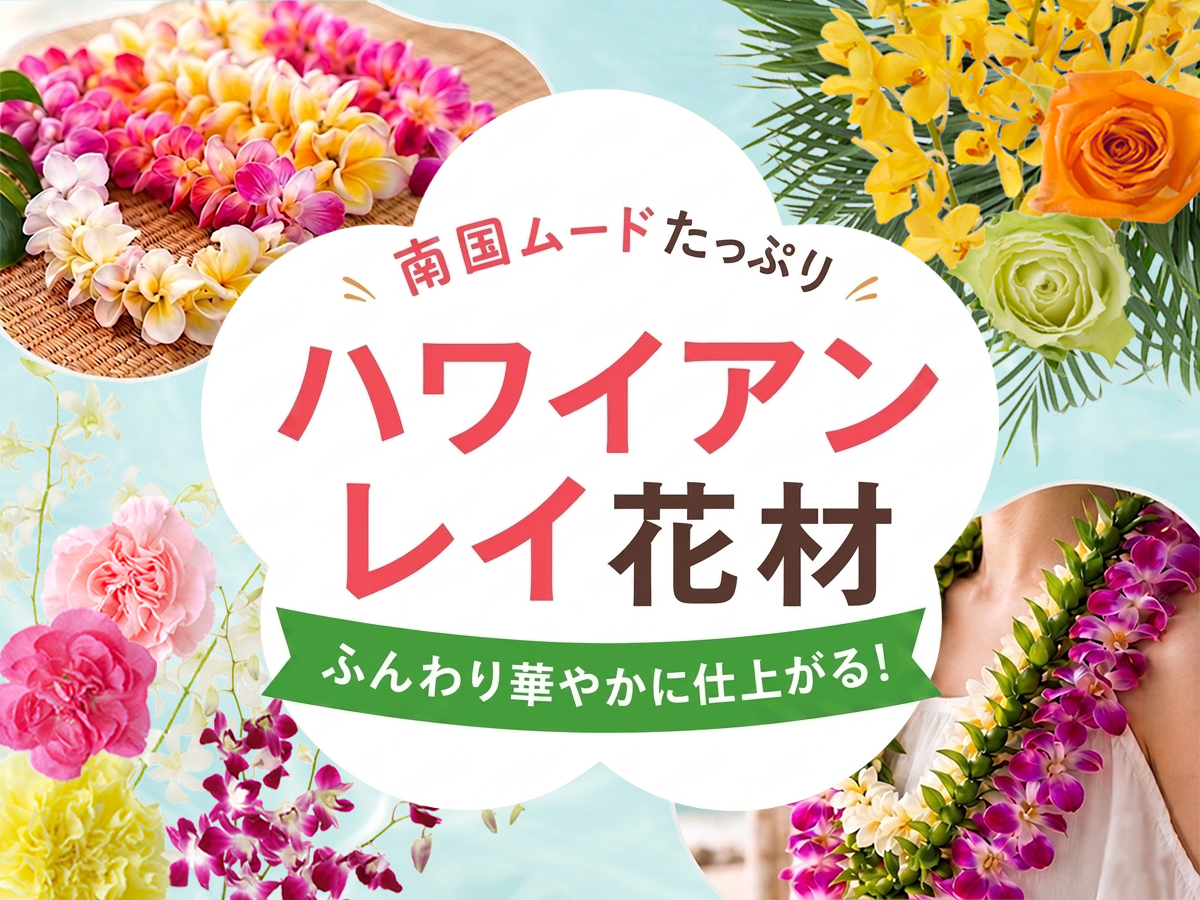 【ハワイアンレイ特集】レイ作成に人気のデンファレ・モカラなど販売中