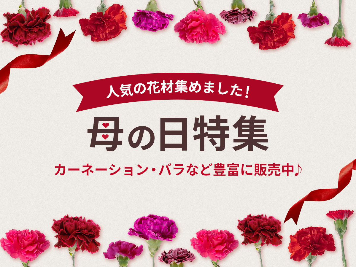【母の日特集】カーネーション・バラなど好評販売中！