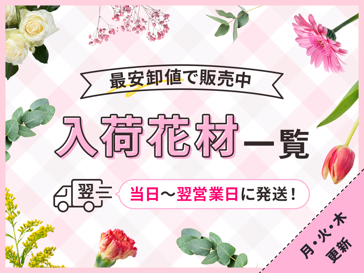 【翌日発送サービス】新鮮な花を速く・最安値でお届け！